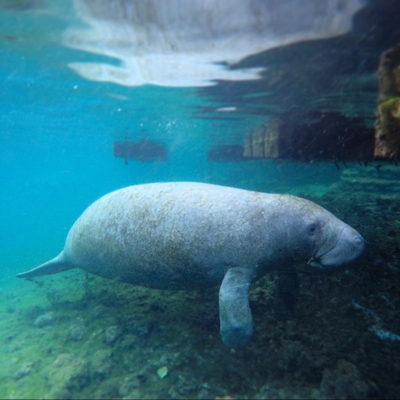 CruuKedEyE - Picture 5 of 6